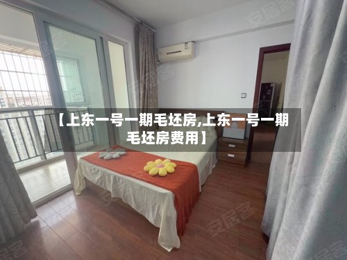 【上东一号一期毛坯房,上东一号一期毛坯房费用】