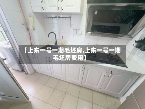 【上东一号一期毛坯房,上东一号一期毛坯房费用】-第2张图片