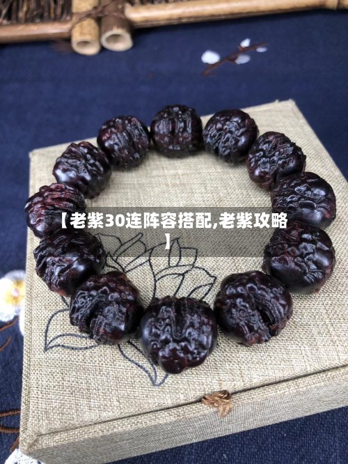 【老紫30连阵容搭配,老紫攻略】