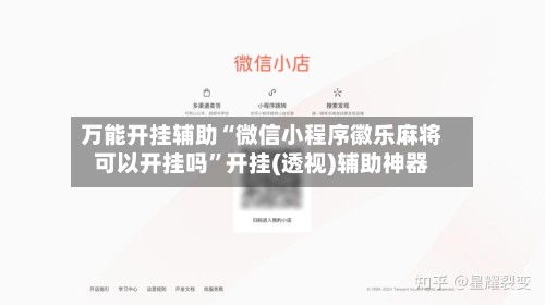 万能开挂辅助“微信小程序徽乐麻将可以开挂吗”开挂(透视)辅助神器-第2张图片