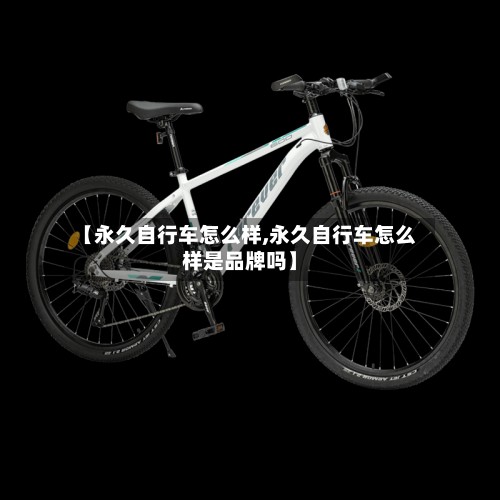 【永久自行车怎么样,永久自行车怎么样是品牌吗】-第3张图片