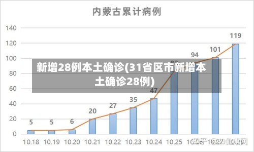 新增28例本土确诊(31省区市新增本土确诊28例)
